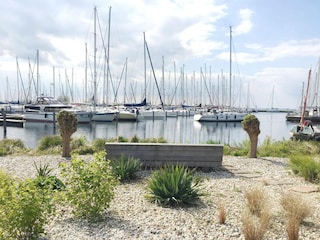 Maison flottante Almere Environnement 27