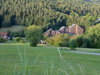 Umgebung