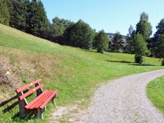 Umgebung