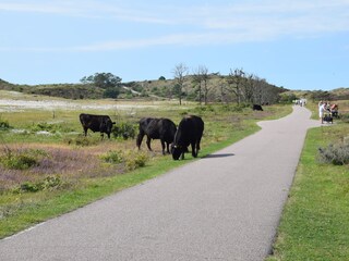 Casa per le vacanze Schoorldam Ambiente 21