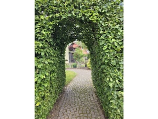 Hereinspaziert