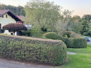 Grundstück von außen