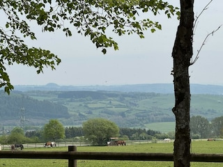 Wanderweg KUNST am WEG / Kronenburg