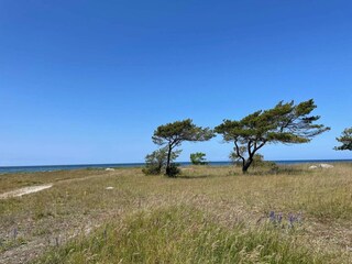 Holiday house Visby  4