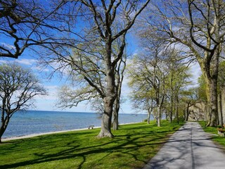 Holiday house Visby  6