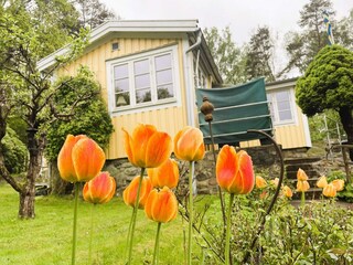 Ferienhaus Varekil Außenaufnahme 5