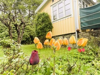 Ferienhaus Varekil Außenaufnahme 8