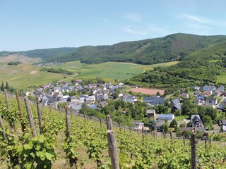 Blick auf Burgen