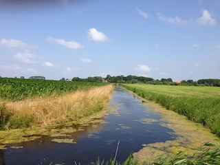 Tinallinge on the horizon
