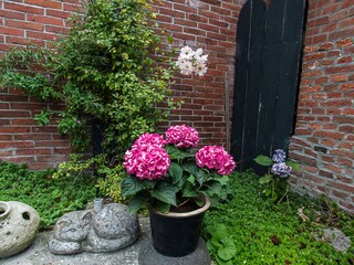 Detail courtyard Lutje Hoeske
