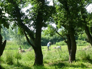 Casa per le vacanze Tinallinge Ambiente 17