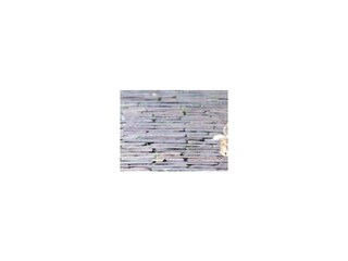 Ferienhaus Borkum Außenaufnahme 8