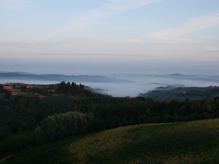 Ausblick vom Weingut mit Morgennebel