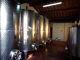 Apartamento de vacaciones Montaione Entorno 15