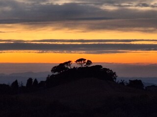 Appartamento per vacanze Montaione Registrazione all'aperto 6