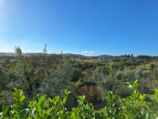 Appartamento per vacanze Montaione Ambiente 20