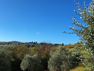 Appartamento per vacanze Montaione Registrazione all'aperto 3