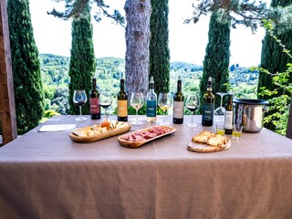 Holiday apartment Montaione Outdoor Recording 9