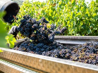 Holiday apartment Montaione Environment 31