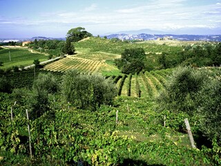 Appartamento per vacanze Montaione Ambiente 21