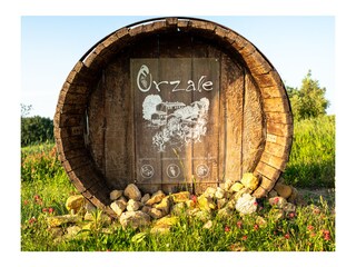 Appartamento per vacanze Montaione Ambiente 26