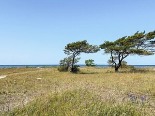 Ferienhaus Visby  35
