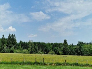 Vakantiehuis Robertville Buitenaudio-opname 8