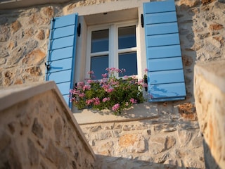 Vakantiehuis Povljana  38