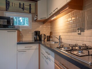 Casa per le vacanze Rheezerveen Caratteristiche 25