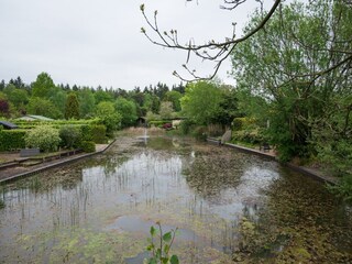 Casa per le vacanze Rheezerveen Ambiente 36