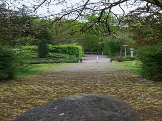 Vakantiehuis Rheezerveen Omgeving 39