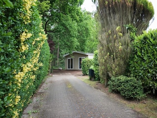 Ferienhaus Rheezerveen Außenaufnahme 8