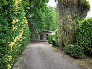 Holiday house Rheezerveen Outdoor Recording 8