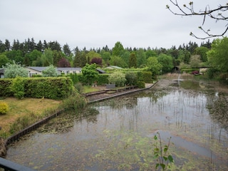 Ferienhaus Rheezerveen Umgebung 34
