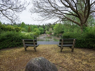 Ferienhaus Rheezerveen Umgebung 35