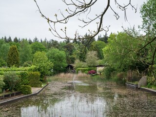 Casa per le vacanze Rheezerveen Ambiente 32