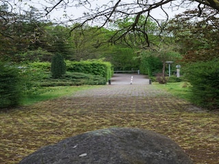Casa per le vacanze Rheezerveen Ambiente 36