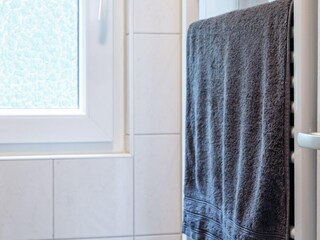 Casa per le vacanze Rheezerveen Caratteristiche 19