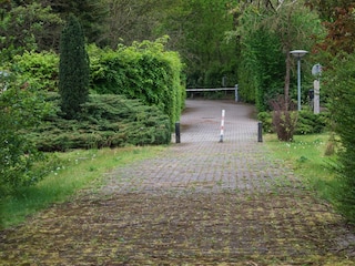 Ferienhaus Rheezerveen Außenaufnahme 7