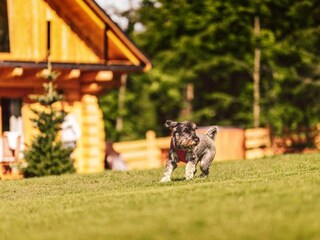 Vakantiepark Koniaków  21