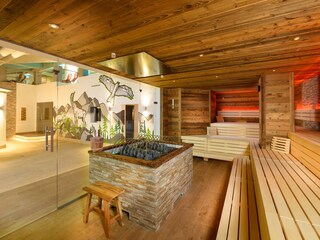 Apartment Wagrain Environment 12