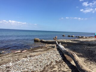 Spaziergang am Brodtner Steilufer