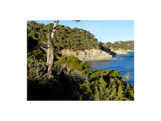 Ferienhaus Hyères Umgebung 104