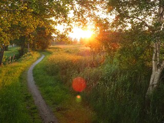 Walking path at sunset