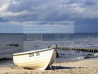 am Meer