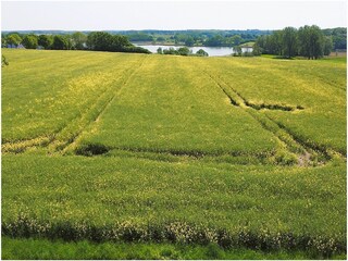 Pure Natur mit Schleiblick