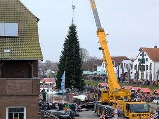 Weihnachtsbaum_Aufstellung