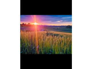 Natur