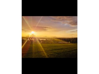 Sonnenuntergängen beim Spazieren