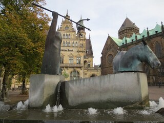 Domshof